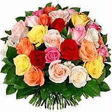 mix roses pakistan