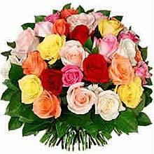 mix roses pakistan