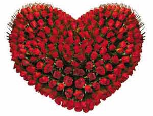 heart shape roses karachi